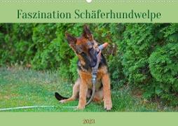 Faszination Schäferhundwelpe (Wandkalender 2023 DIN A2 quer)