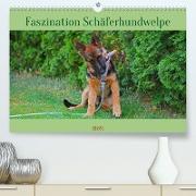 Faszination Schäferhundwelpe (Premium, hochwertiger DIN A2 Wandkalender 2023, Kunstdruck in Hochglanz)