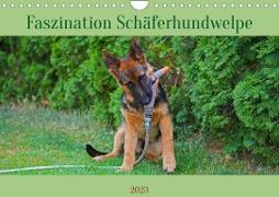 Faszination Schäferhundwelpe (Wandkalender 2023 DIN A4 quer)