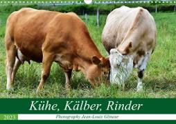 Kühe, Kälber, Rinder (Wandkalender 2023 DIN A3 quer)