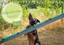Welpentraining auf dem Hundeplatz (Tischkalender 2023 DIN A5 quer)