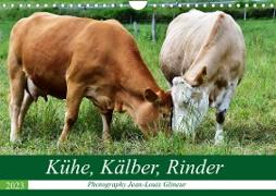 Kühe, Kälber, Rinder (Wandkalender 2023 DIN A4 quer)