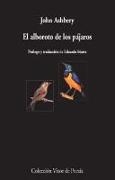 El alboroto de los pájaros