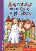 Adventures in the castle of numbers