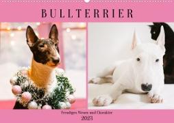 Bullterrier. Freudiges Wesen und Charakter (Wandkalender 2023 DIN A2 quer)