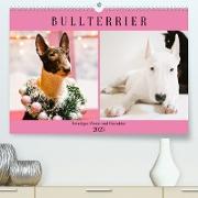 Bullterrier. Freudiges Wesen und Charakter (Premium, hochwertiger DIN A2 Wandkalender 2023, Kunstdruck in Hochglanz)