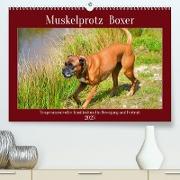 Muskelprotz Boxer (Premium, hochwertiger DIN A2 Wandkalender 2023, Kunstdruck in Hochglanz)