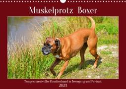 Muskelprotz Boxer (Wandkalender 2023 DIN A3 quer)