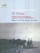 El pinar : factores sociales relacionados con el desarrollo rural en un pueblo español