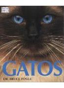 Gatos