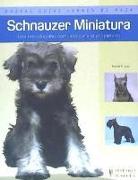 Schnauzer miniatura