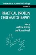 Practical Protein Chromatography