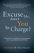 Excuse Me, Aren't You in Charge?: Insightful Snippets to Recharge Your Leadership Batteries