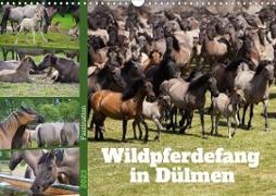 Faszination Wildpferdefang in Dülmen (Wandkalender 2023 DIN A3 quer)