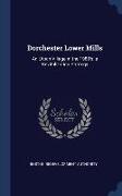 Dorchester Lower Mills: An Urban Village in the 1980's: a Revitalization Strategy