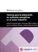 Técnicas para la elaboración de auditorías energéticas en el sector industrial