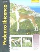 Podenco ibicenco