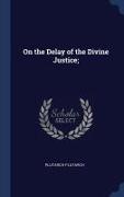On the Delay of the Divine Justice