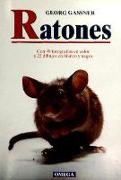 Ratones