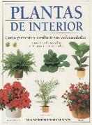 Plantas de interior : cómo prevenir y combatir sus enfermedades