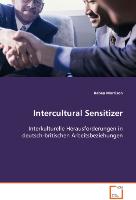 Intercultural Sensitizer