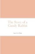 The Story of a Candy Rabbit