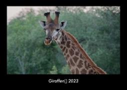 Giraffen 2023 Fotokalender DIN A3