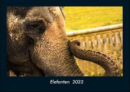 Elefanten 2023 Fotokalender DIN A4
