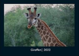 Giraffen 2023 Fotokalender DIN A4