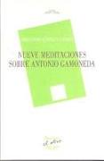 Nueve meditaciones sobre Antonio Gamoneda