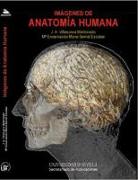 Imágenes de anatomía humana