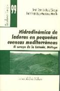 Hidrodinámica de laderas en pequeñas cuencas mediterráneas : el arroyo de la Cañada, Málaga