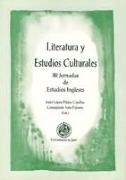 Literatura y estudios culturales