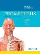 Prometheus : póster de anatomía : huesos y músculos