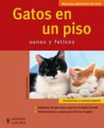 Gatos en un piso