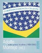 Correspondencia celeste : nueva poesía brasileña (1960-2000)