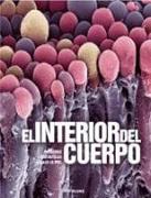 El interio del cuerpo