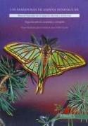 Las mariposas de España peninsular : manual ilustrado de las especies diurnas y nocturnas
