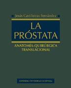 La próstata : anatomía-quirúrgica translacional