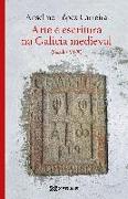 Arte e escritura na Galicia medieval : séculos VI-X