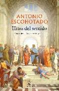 Hitos del sentido : notas sobre la Grecia arcaica y clásica