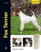 Fox terrier