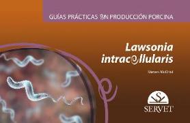 Lawsonia intracellularis