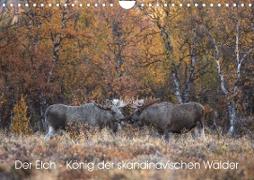 Der Elch - König der skandinavischen Wälder (Wandkalender 2023 DIN A4 quer)