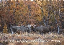 Der Elch - König der skandinavischen Wälder (Wandkalender 2023 DIN A3 quer)