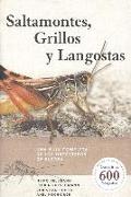 Saltamontes, grillos y langostas : una guía completa de los ortópteros de Europa