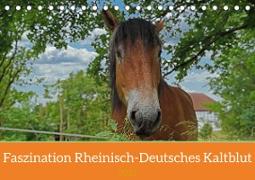 Faszination Rheinisch-Deutsches Kaltblut (Tischkalender 2023 DIN A5 quer)
