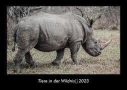 Tiere in der Wildnis 2023 Fotokalender DIN A3