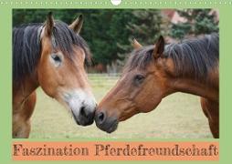 Faszination Pferdefreundschaft (Wandkalender 2023 DIN A3 quer)