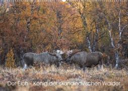 Der Elch - König der skandinavischen Wälder (Wandkalender 2023 DIN A2 quer)